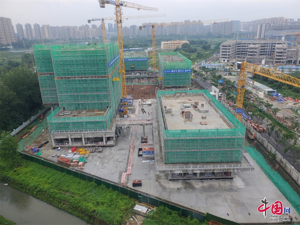 全速推进全景呈现成都TOD2024年上半年大数据来了(图1)