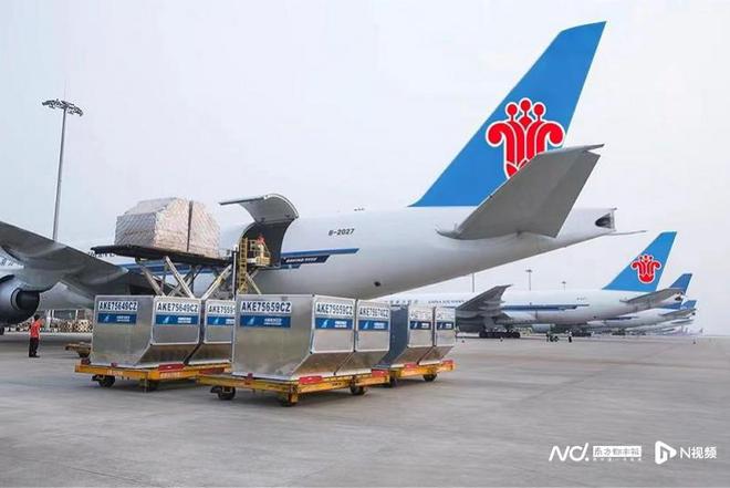《中国航空物流枢纽发展指数2024》：沪京蓉广深居前五