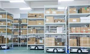 2024快运快递行业发展分析与发展指数(图4)