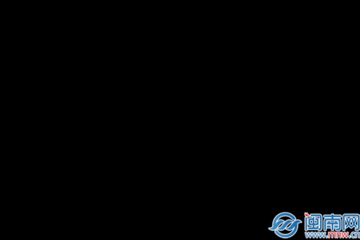 首届龙商大会暨2024年龙海企业家活动日举办