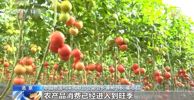 前三季度我国冷链物流总额64万亿元同比增长42%(图1)