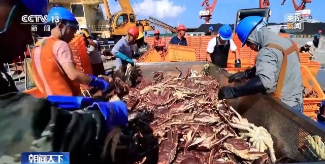 前三季度我国冷链物流总额64万亿元同比增长42%(图6)