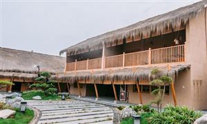 物流自动化市场投资潜力力如何？物流自动化市场规模(图2)