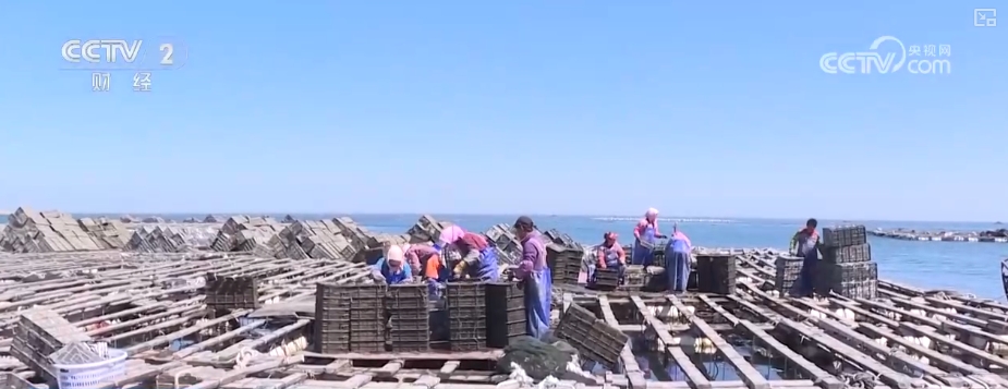 从“飞起来”到“飞得稳”低空经济新“机”遇不断激发(图4)