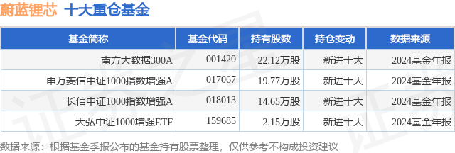 2月19日蔚蓝锂芯涨799%南方大数据300A基金重仓该股