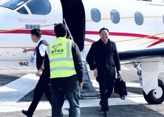 且随春风低空舞