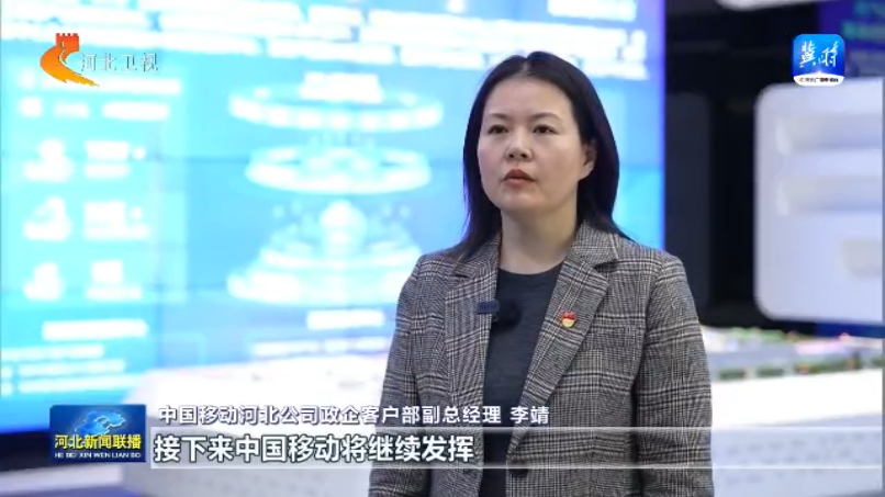 【坚定信心勇挑大梁】乘“数”而上2024年河北大数据产业收入增速全国第一(图3)