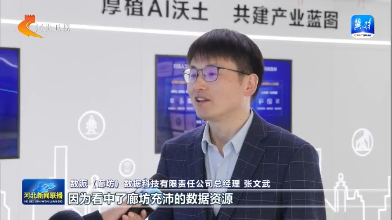 【坚定信心勇挑大梁】乘“数”而上2024年河北大数据产业收入增速全国第一(图4)
