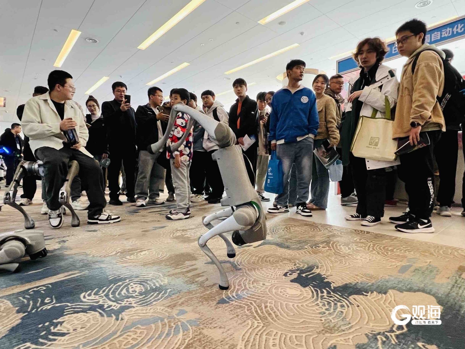 “新质发展智控未来”2024中国自动化大会在青开幕(图3)