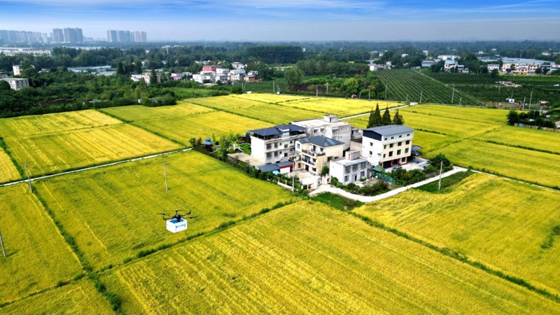 四川推进现代物流产业建圈强链打出降本增效组合拳(图1)