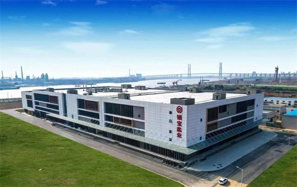 江苏银宝集团盐业板块：盐田蝶变谱华章奋楫十载启新程(图1)