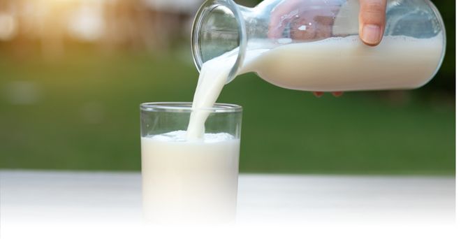中国乳企用AI对冲周期(图9)