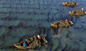 2024物流自动化产业前景未来趋势：区块物流产业集群蓬勃发展(图4)