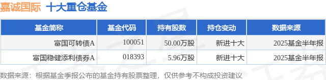 9月12日嘉诚国际涨597%富国可转债A基金重仓该股(图1)
