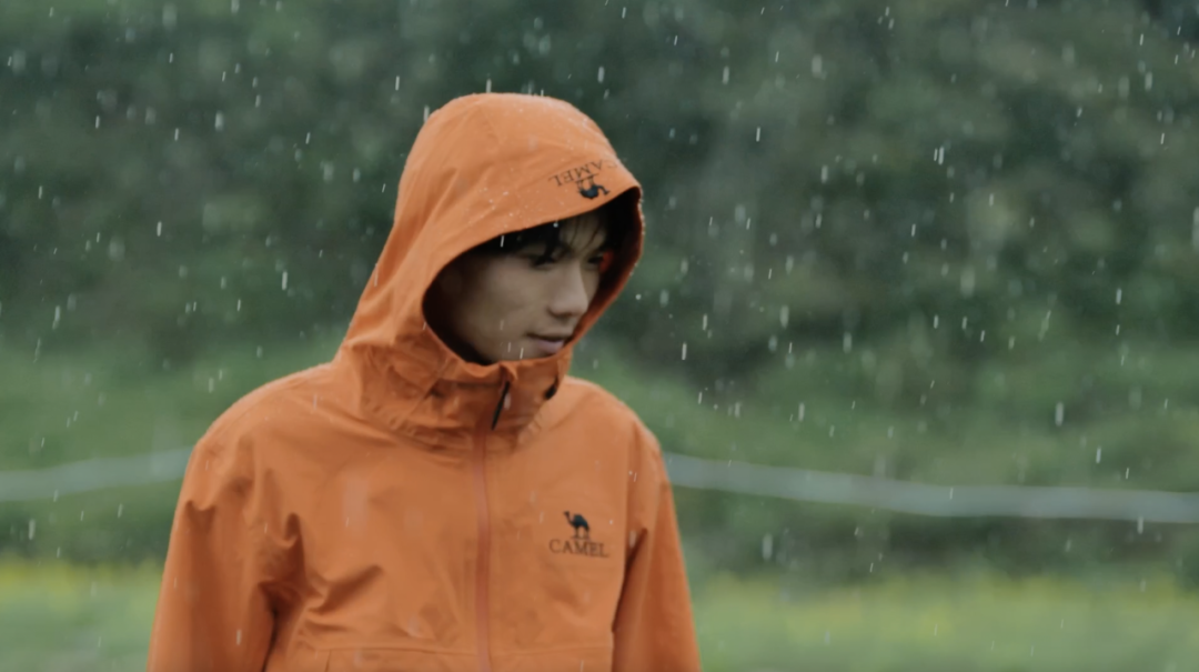 东南亚电商进入“快车道”中国品牌如何赢得下一个全球增量市场？(图10)