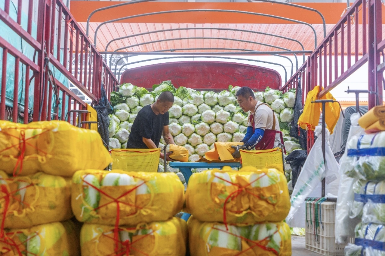 一幅乡村振兴图景：首衡的农贸产业赋能之路(图3)