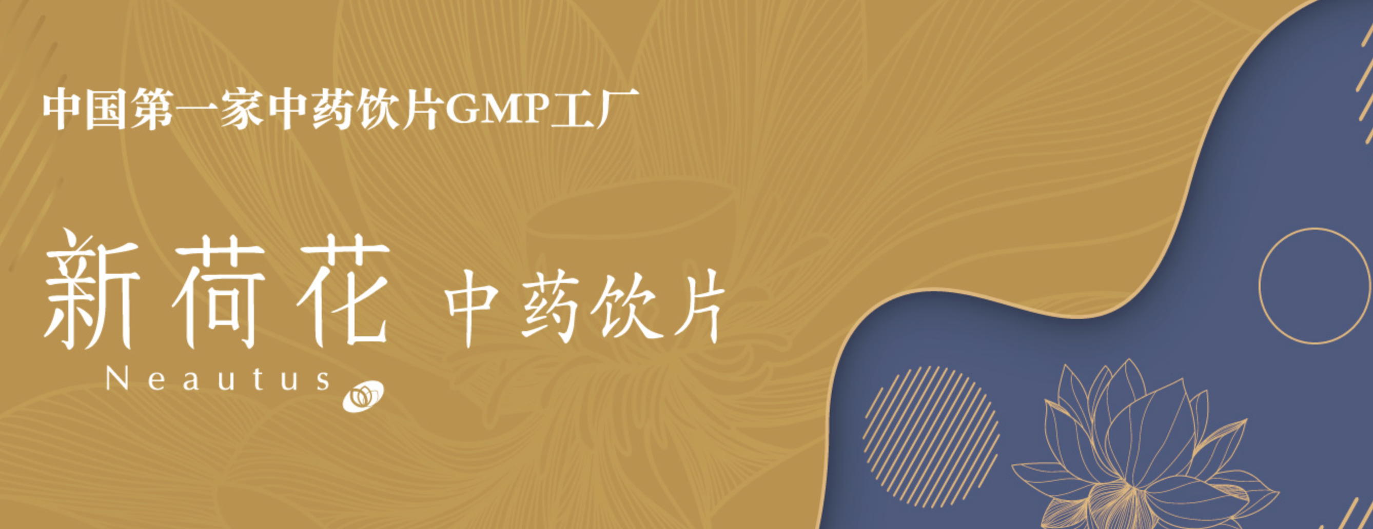 政策东风下的“内功”修炼：从财报透视新荷花的领军之道(图3)