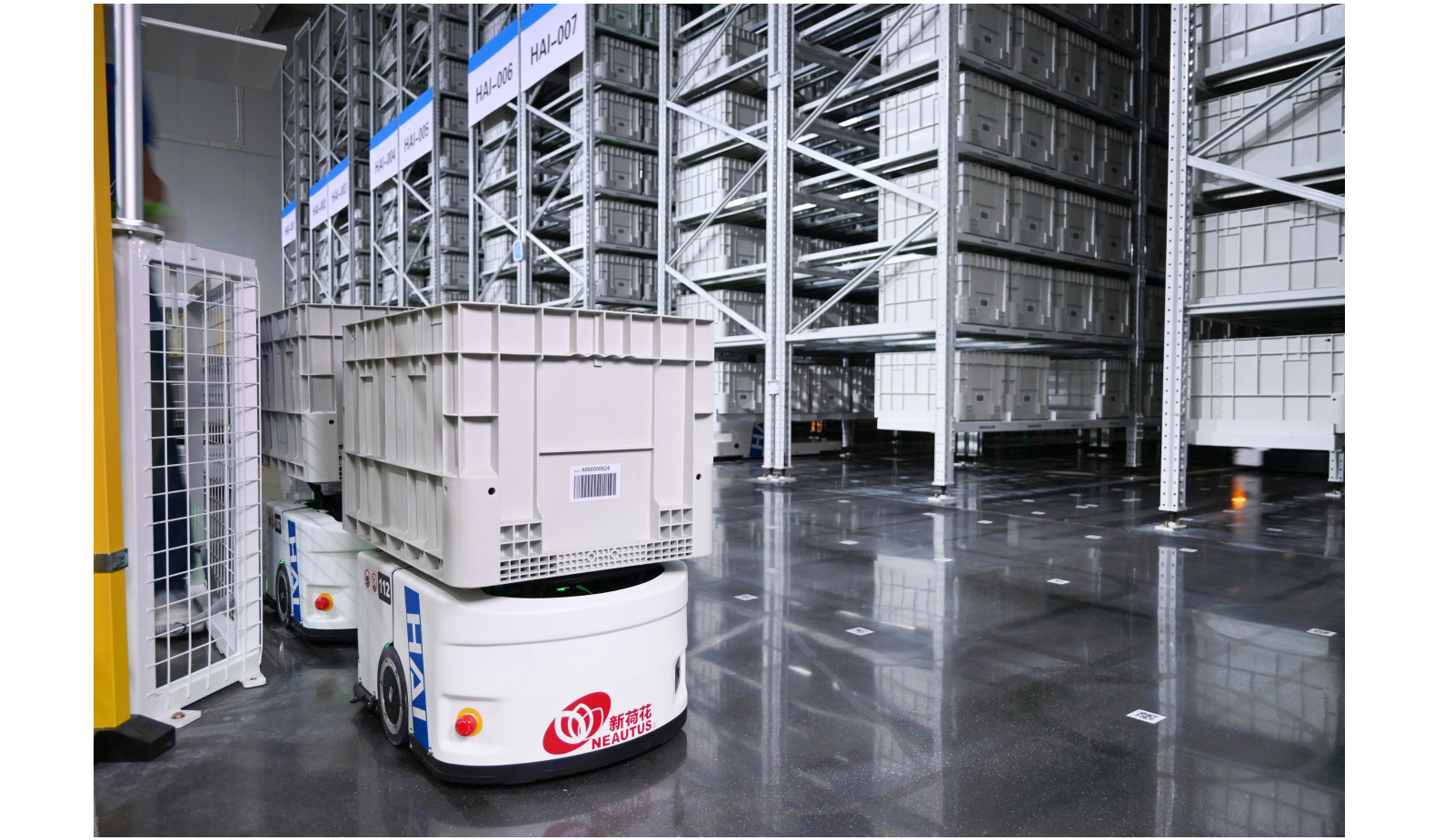 政策东风下的“内功”修炼：从财报透视新荷花的领军之道(图2)