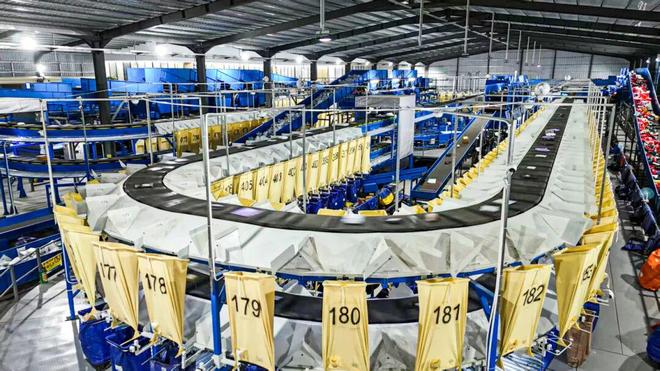 科技赋能迎战“双11”在青浦感受“中国快递加速度”(图4)