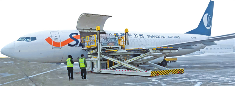 【回眸乌鲁木齐2025】二看开放：向深向广提质效——乌鲁木齐聚力开放枢纽打造向西新高地