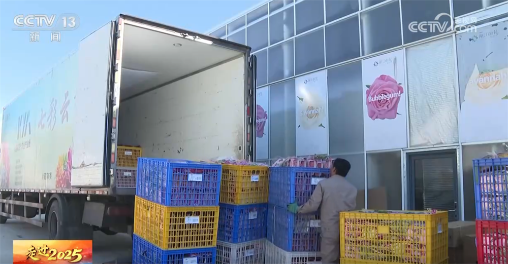 “云花”跨越千里如何“绽放”全国？解码“美丽经济”背后的保鲜密码(图3)