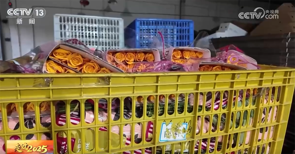 “云花”跨越千里如何“绽放”全国？解码“美丽经济”背后的保鲜密码(图4)