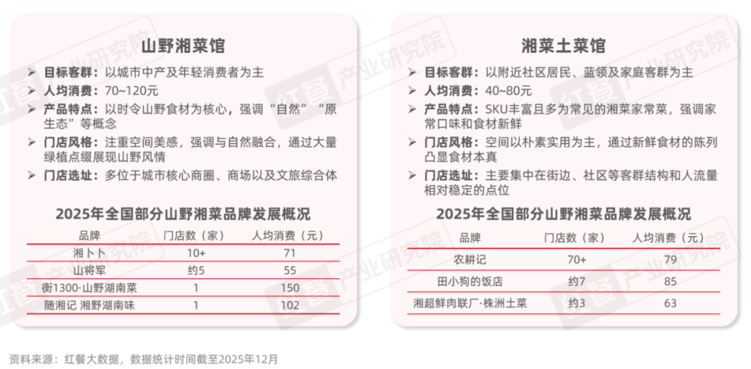 《湘菜发展报告2025》发布：超千亿规模！高性价比、土菜、市井湘菜持续出圈(图7)
