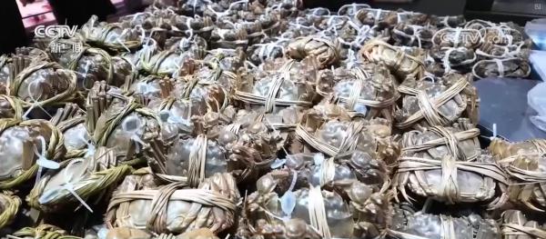 3814亿吨、55671亿元成绩“亮眼”！数说我国冷链物流行业稳步增长(图4)