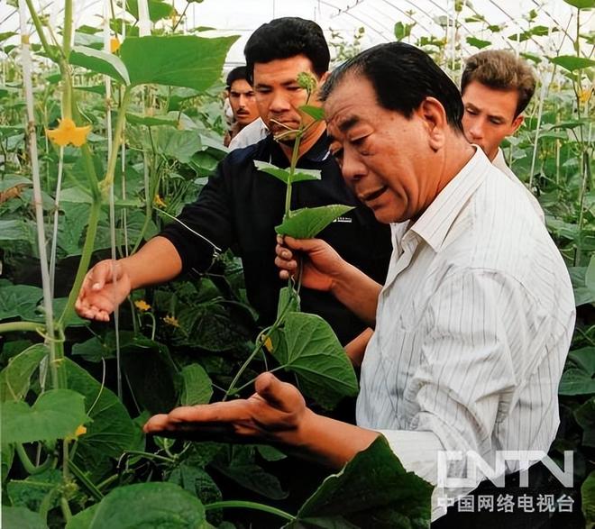 中国默默干了38年！不建桥不调水的超级工程：菜市场里的中国奇迹(图4)