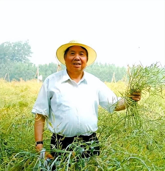 中国默默干了38年！不建桥不调水的超级工程：菜市场里的中国奇迹(图10)