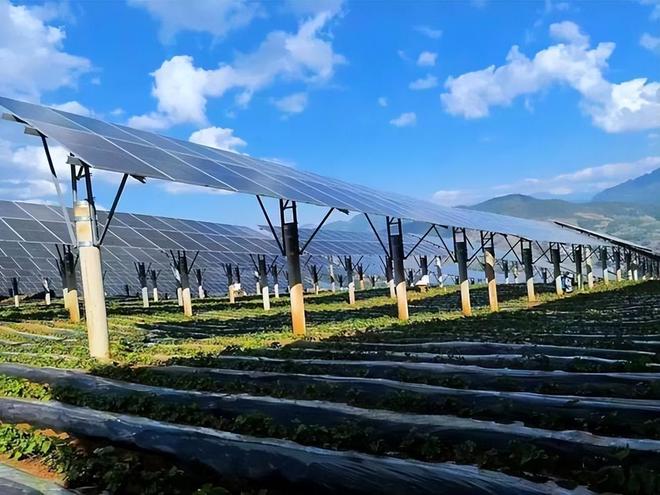 中国默默干了38年！不建桥不调水的超级工程：菜市场里的中国奇迹(图11)