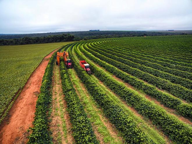 中国默默干了38年！不建桥不调水的超级工程：菜市场里的中国奇迹(图14)