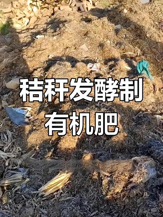 中国默默干了38年！不建桥不调水的超级工程：菜市场里的中国奇迹(图9)